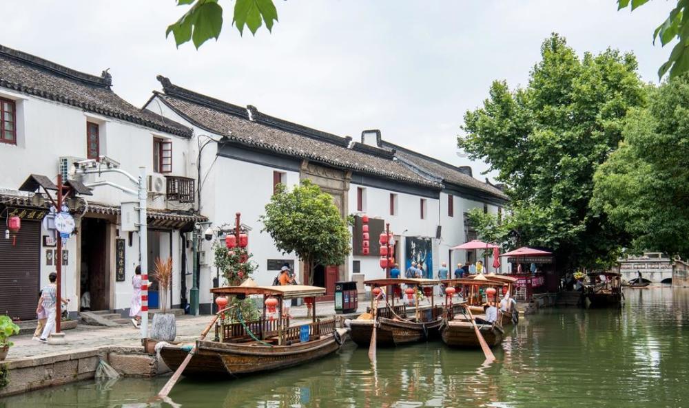 松树花是什么花？游戏画面